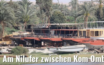 Am Nilufer zwischen Kom Ombo und Luxor 13.04.2019