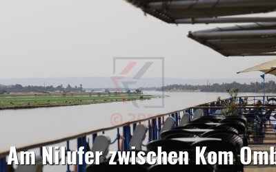 Am Nilufer zwischen Kom Ombo und Luxor 13.04.2019