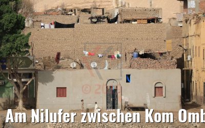 Am Nilufer zwischen Kom Ombo und Luxor 13.04.2019