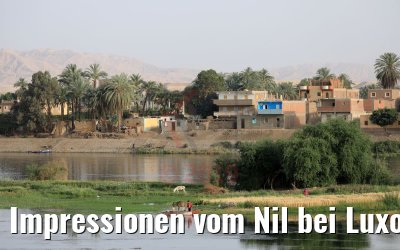 Impressionen vom Nil bei Luxor 13.04.2019