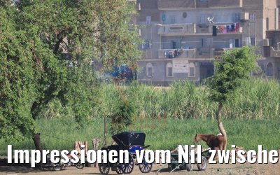 Impressionen vom Nil zwischen Kom Ombo und Luxor 13.04.2019