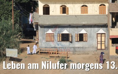 Leben am Nilufer morgens 13.04.2019