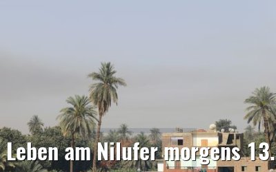 Leben am Nilufer morgens 13.04.2019