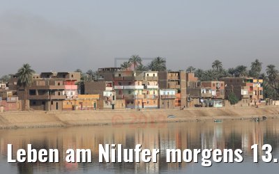 Leben am Nilufer morgens 13.04.2019