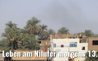 Leben am Nilufer morgens 13.04.2019