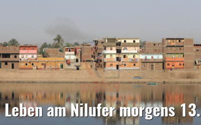 Leben am Nilufer morgens 13.04.2019