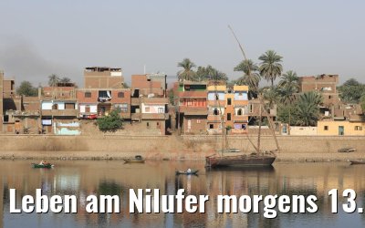 Leben am Nilufer morgens 13.04.2019