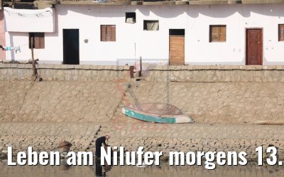 Leben am Nilufer morgens 13.04.2019
