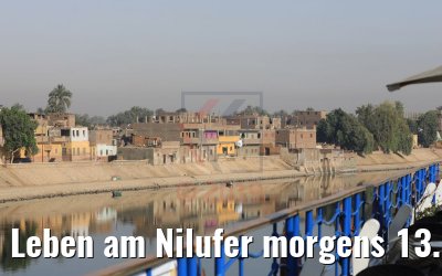Leben am Nilufer morgens 13.04.2019