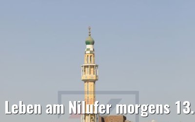 Leben am Nilufer morgens 13.04.2019