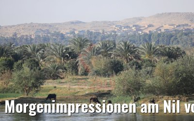 Morgenimpressionen am Nil von MS Royal Princess