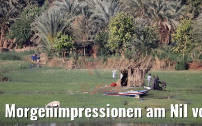 Morgenimpressionen am Nil von MS Royal Princess