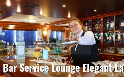 Bar Service Lounge Elegant Lady
