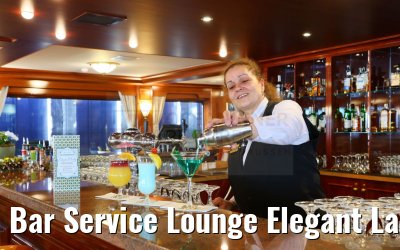 Bar Service Lounge Elegant Lady