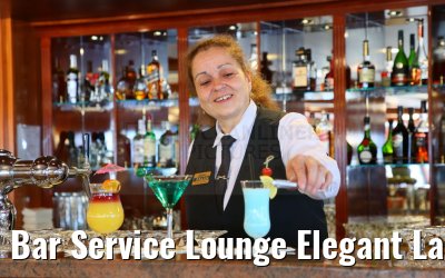 Bar Service Lounge Elegant Lady