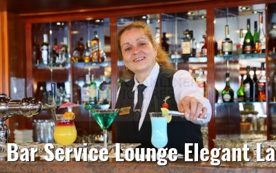 Bar Service Lounge Elegant Lady