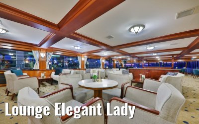 Lounge Elegant Lady