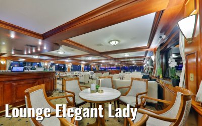 Lounge Elegant Lady
