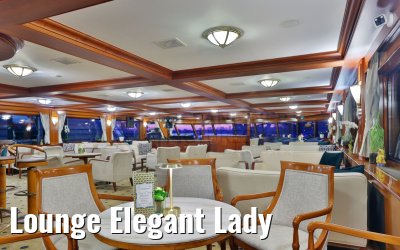 Lounge Elegant Lady