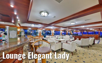 Lounge Elegant Lady