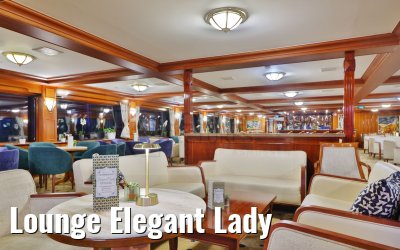 Lounge Elegant Lady