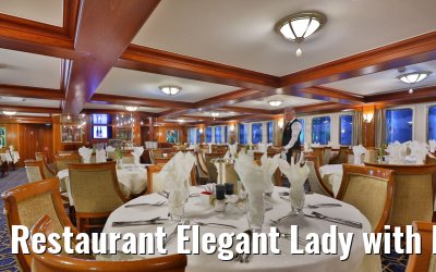 Restaurant Elegant Lady with Maitre