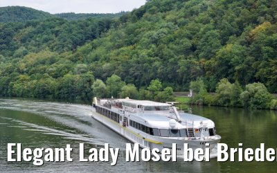 Elegant Lady Mosel bei Briedern 19.08.2023