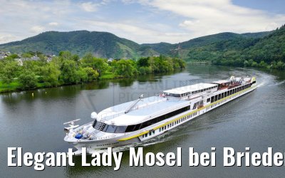 Elegant Lady Mosel bei Briedern 19.08.2023