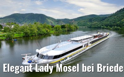 Elegant Lady Mosel bei Briedern 19.08.2023