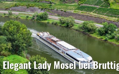 Elegant Lady Mosel bei Bruttig-Fankel 19.08.2023