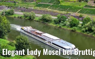 Elegant Lady Mosel bei Bruttig-Fankel 19.08.2023