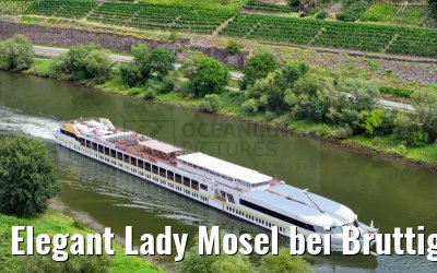 Elegant Lady Mosel bei Bruttig-Fankel 19.08.2023