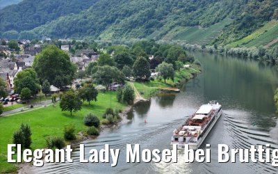 Elegant Lady Mosel bei Bruttig-Fankel 19.08.2023
