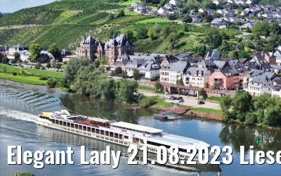 Elegant Lady 21.08.2023 Lieser, Mosel