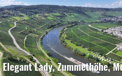Elegant Lady, Zummethöhe, Mosel 21.08.2023