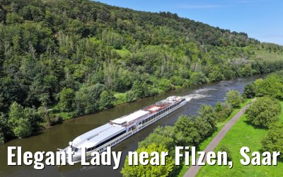 Elegant Lady near Filzen, Saar river 20.08.2023