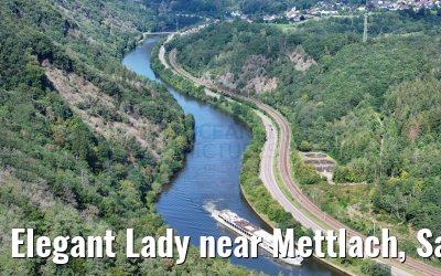 Elegant Lady near Mettlach, Saar 20.08.2023