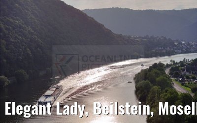Elegant Lady, Beilstein, Moselle 22.08.2023
