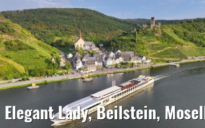 Elegant Lady, Beilstein, Moselle 22.08.2023