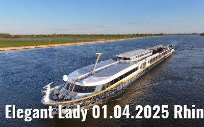 Elegant Lady 01.04.2025 Rhine river near Wesel
