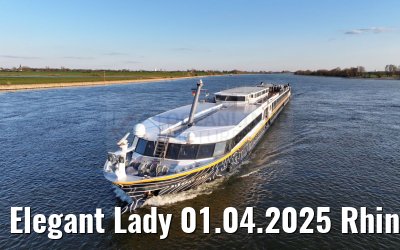 Elegant Lady 01.04.2025 Rhine river near Wesel