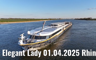 Elegant Lady 01.04.2025 Rhine river near Wesel