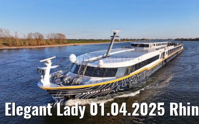 Elegant Lady 01.04.2025 Rhine river near Wesel