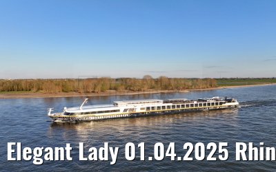 Elegant Lady 01.04.2025 Rhine river near Wesel
