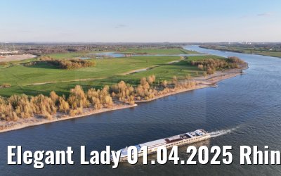 Elegant Lady 01.04.2025 Rhine river near Wesel