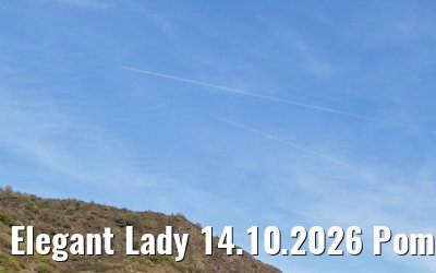 Elegant Lady 14.10.2026 Pommern