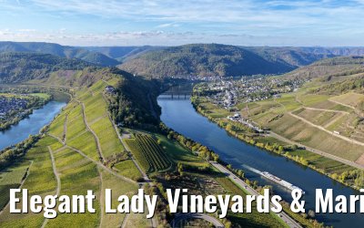 Elegant Lady Vineyards & Marienburg