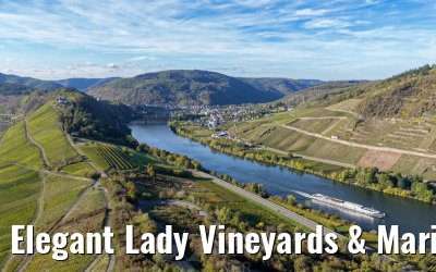 Elegant Lady Vineyards & Marienburg