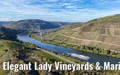 Elegant Lady Vineyards & Marienburg