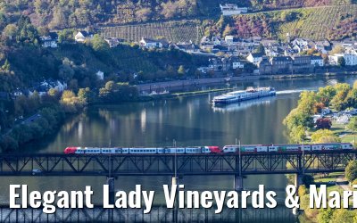 Elegant Lady Vineyards & Marienburg